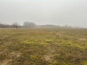 current gallery thumbnail