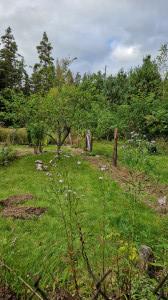 current gallery thumbnail