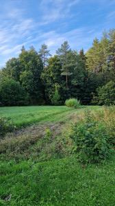 current gallery thumbnail