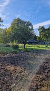 current gallery thumbnail