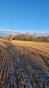 current gallery thumbnail