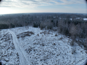 current gallery thumbnail