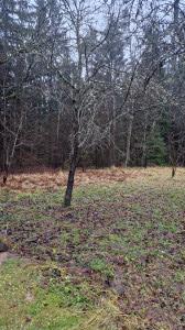 current gallery thumbnail