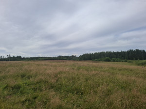 current gallery thumbnail