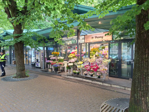 current gallery thumbnail